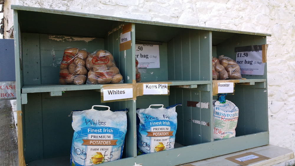 Roadside-stall-with-honesty-box Roadside stall with honesty box
