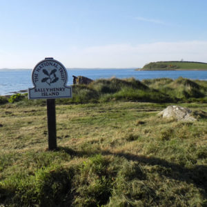 Strangford Lough and Ballyhenry island