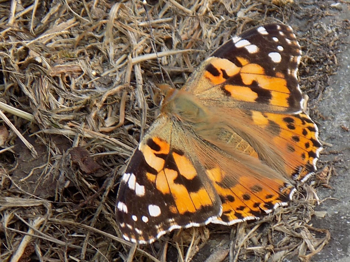 Sustainable-Tourism2