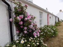 Kearney cottages